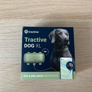 Active USA Green Dog Collar